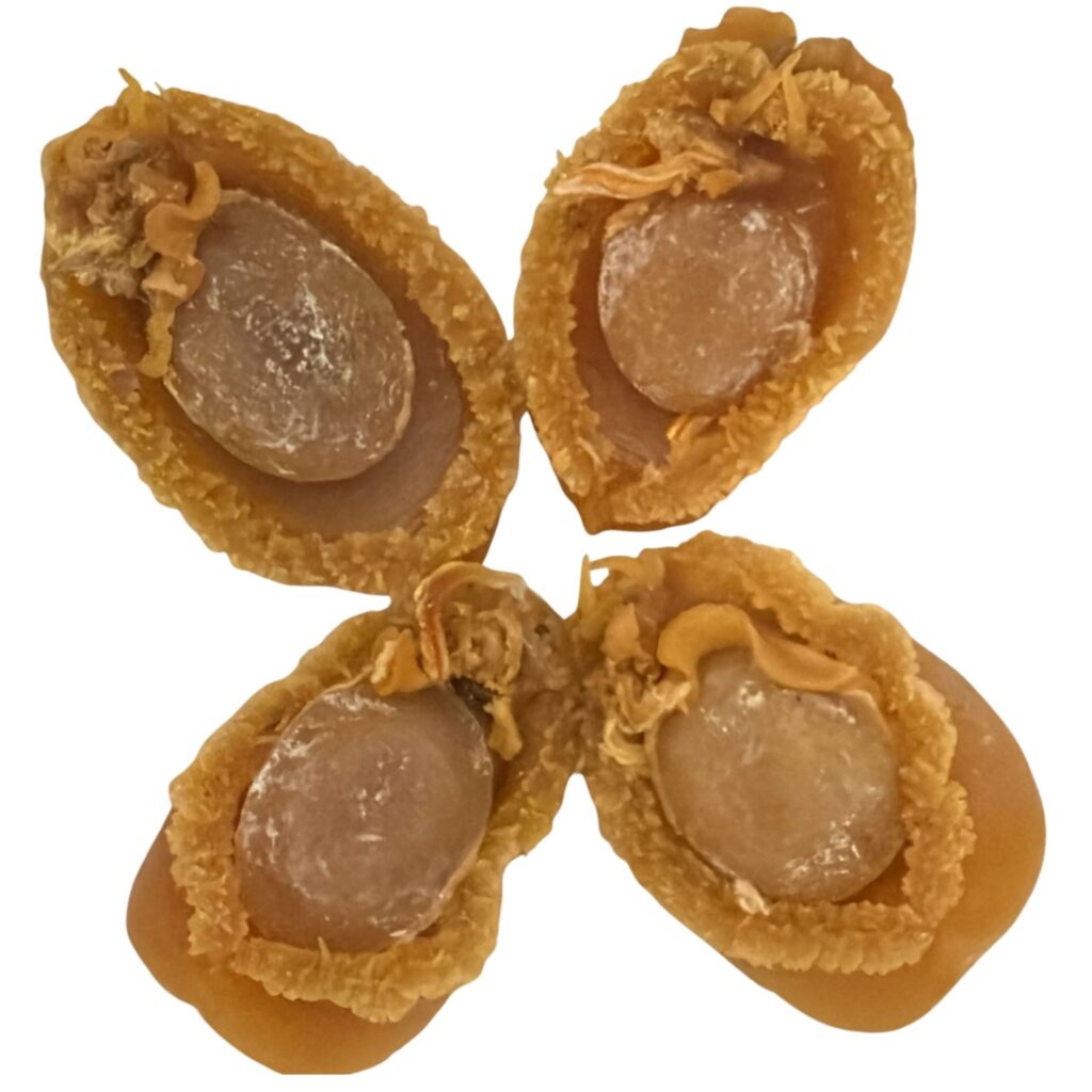 Dried Abalone