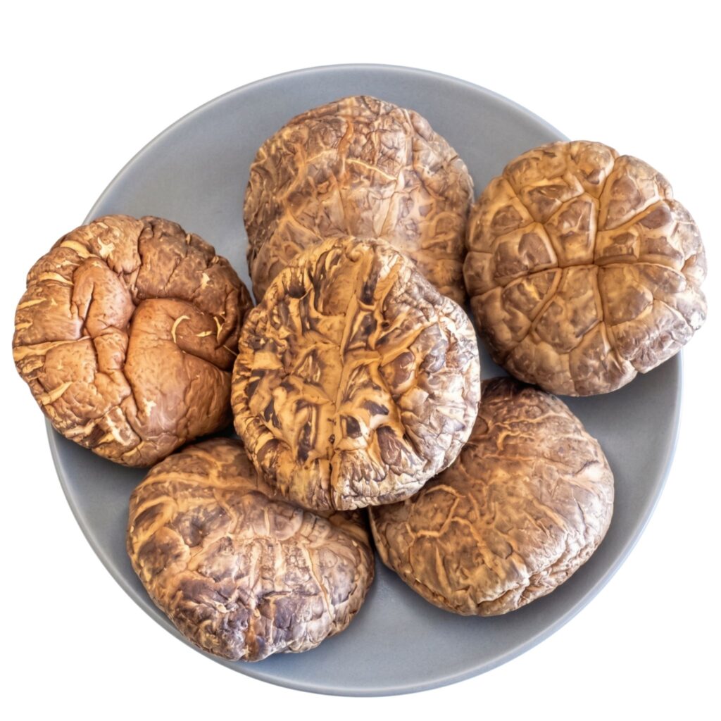 Dried Mushrooms