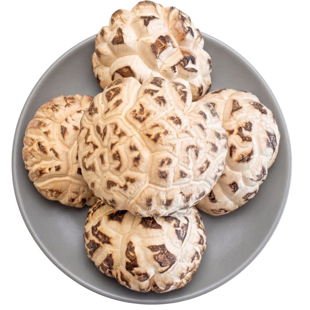 Dried Flower Mushrooms