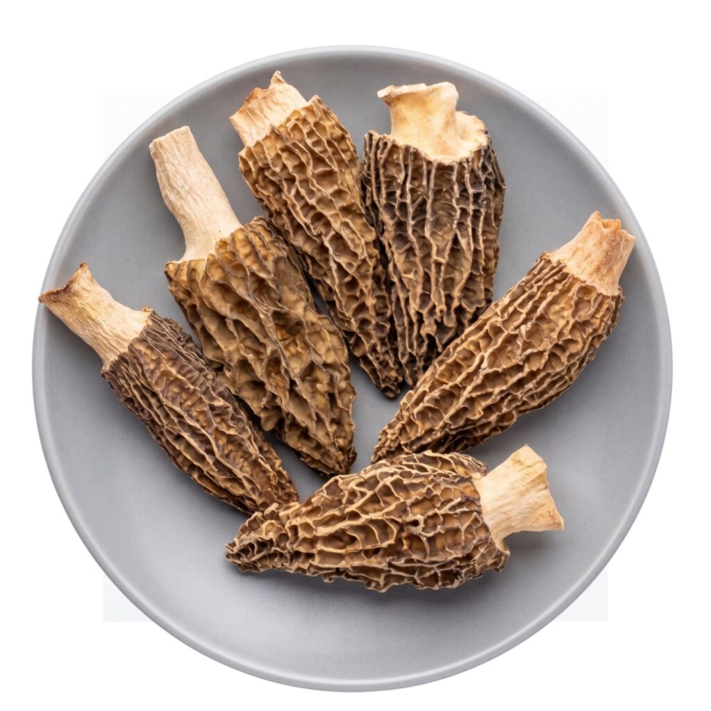Dried Morel Mushroom