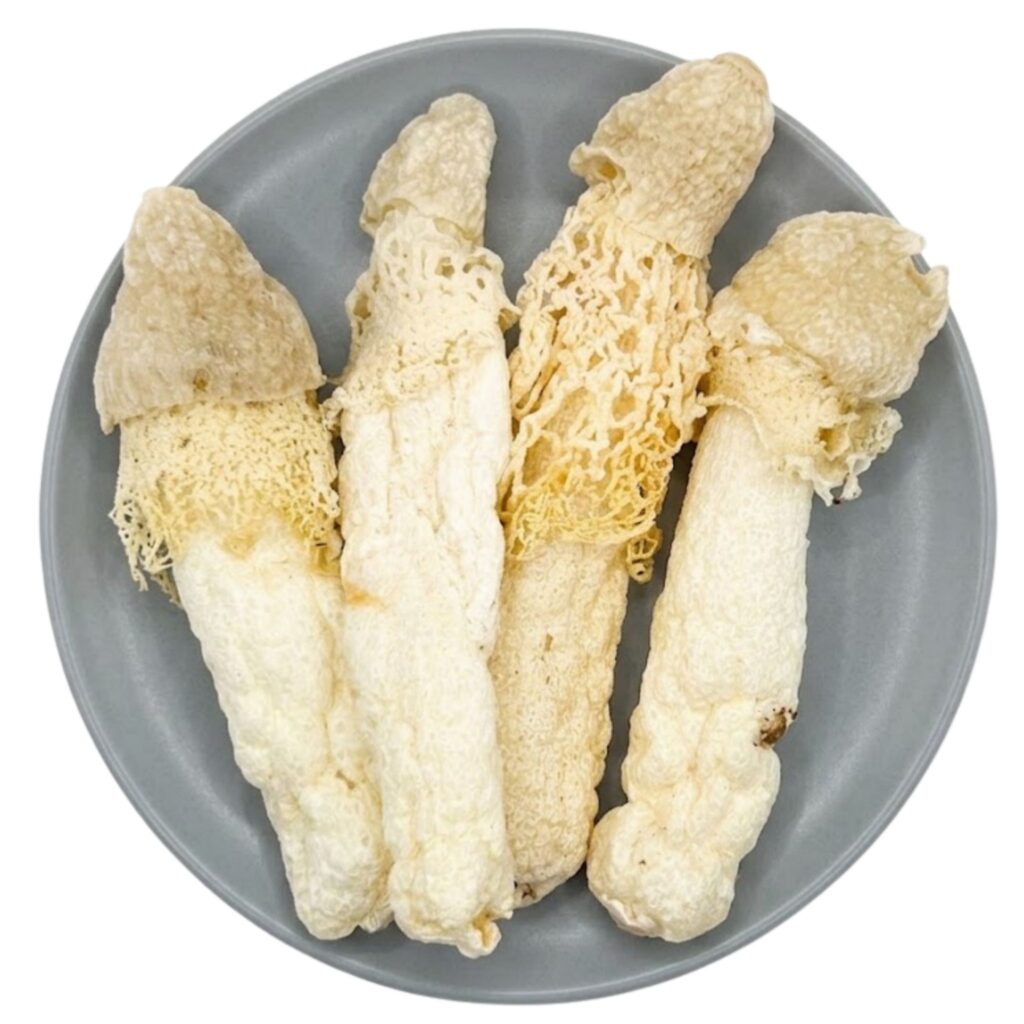 Dried Wild Bamboo Shoots